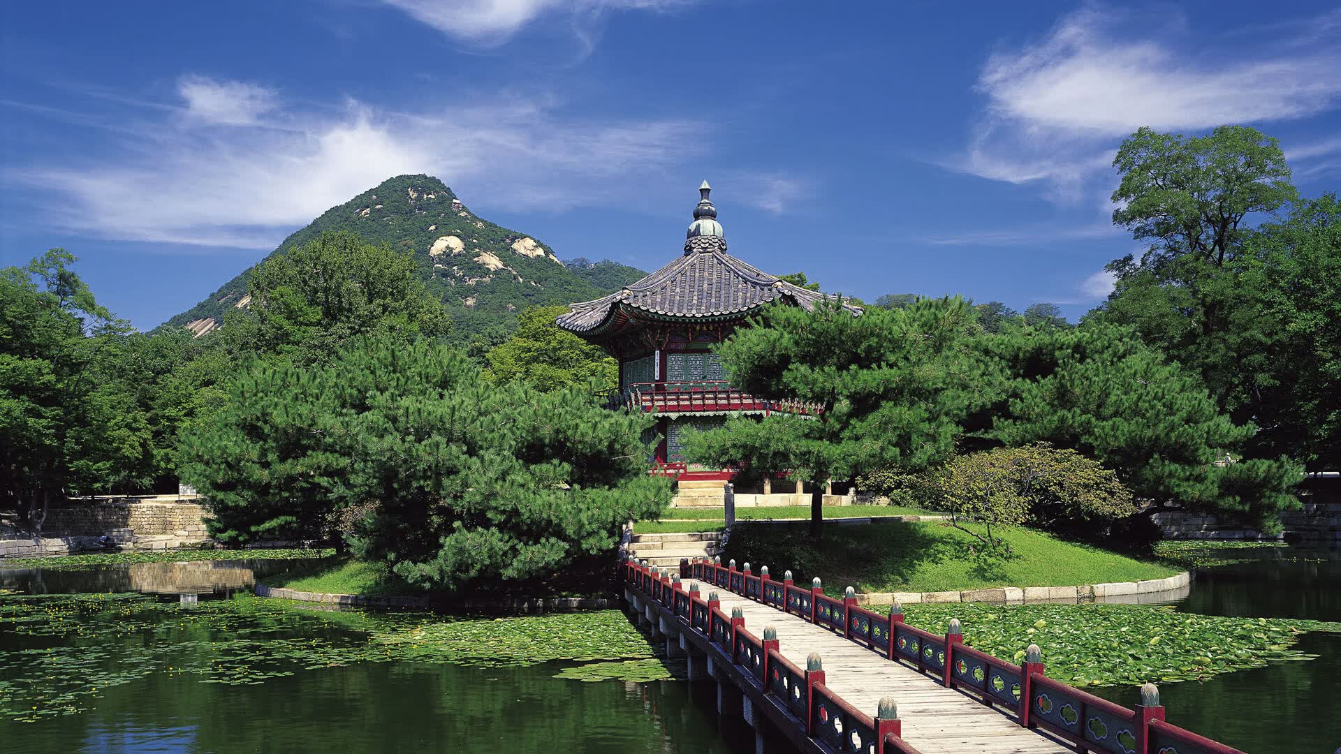世界短跑社区公开课联动：名教练走进更多基层场馆授课，世界短跑比赛有哪些